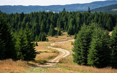 How to Find a Lot in Bend Oregon